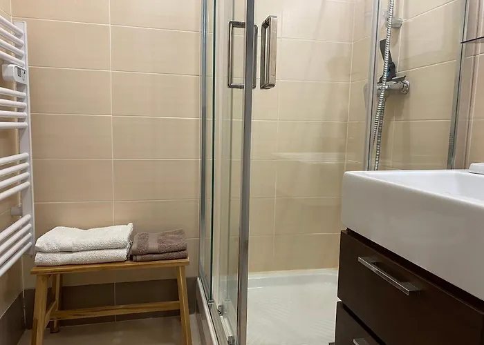 3 Etoiles Apercu Clim Parking Prive Appartement